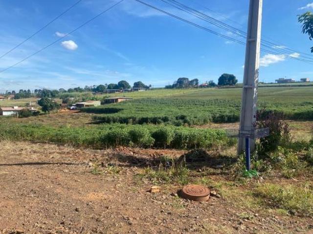 Terreno com 8.550m² no Distrito de Maravilha