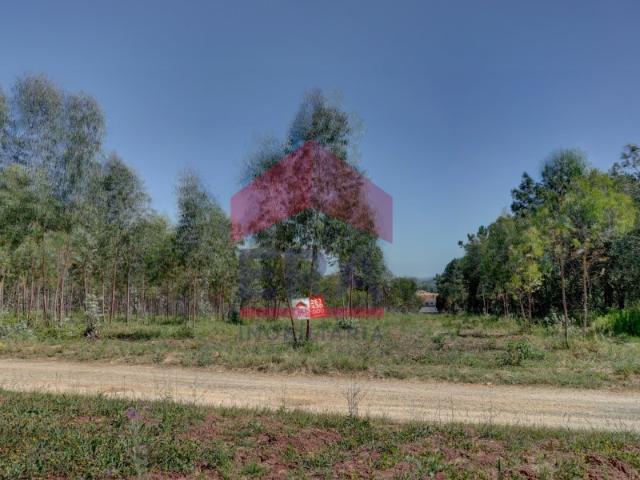 Terreno com 8.560m2