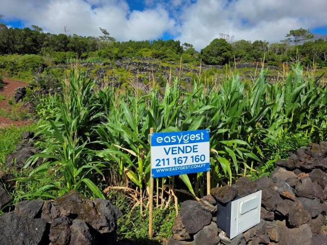 Terreno com Vista Mar e Elevado Potencial Turístico