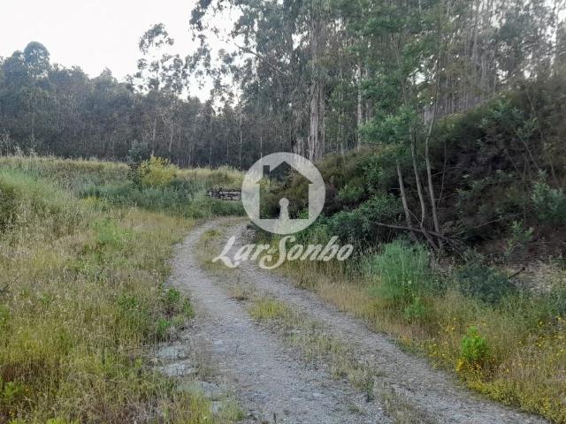 Terreno com 8.600 m² na Trofa | Excelente Oportunidade de Investimento