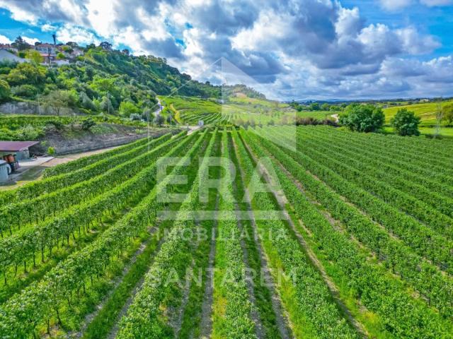Terreno com 93.320 m2