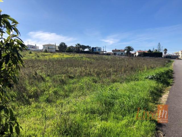 Terreno com 9050m2 em Pinhal de Frades na Ericeira