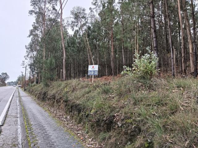 Terreno com 90 m de frente Aveiro