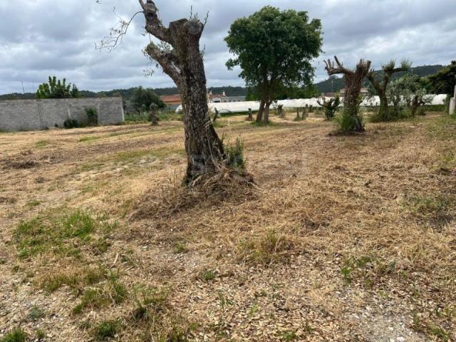 Terreno com 915m² para construção de Moradia Ortigosa