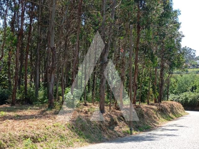 Terreno com 9250 m2