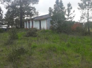 Terreno com 9980m2, Lapa Aveiras de Cima / Cartaxo
