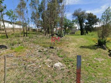 TERRENO COM 9.000M2 | GUILHUFE, PENAFIEL