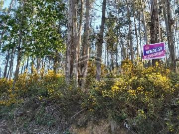 Terreno, com 9.160 m², próximo aos Passadiços do Paiva, em Nespereira