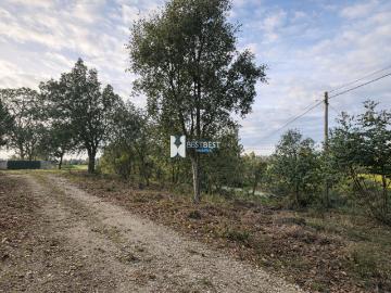 TERRENO COM 10.031 M2 EM BURGAES, SANTO TIRSO