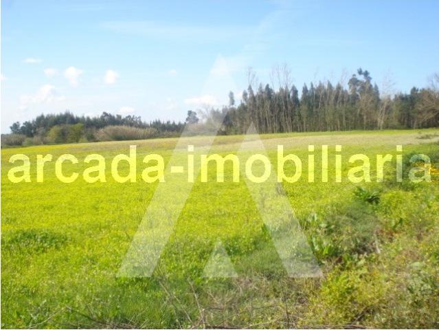 Terreno com 9.600 m2 próximo de Aveiro