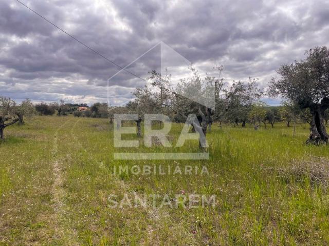 Terreno com 9.800 m2