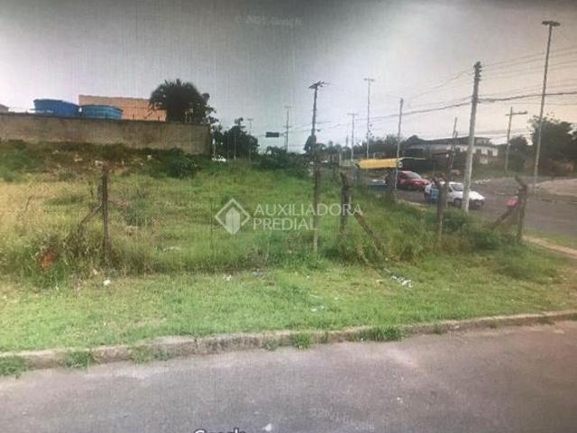 Terreno com 03 lotes 20x55 totalizando 1.100 m²