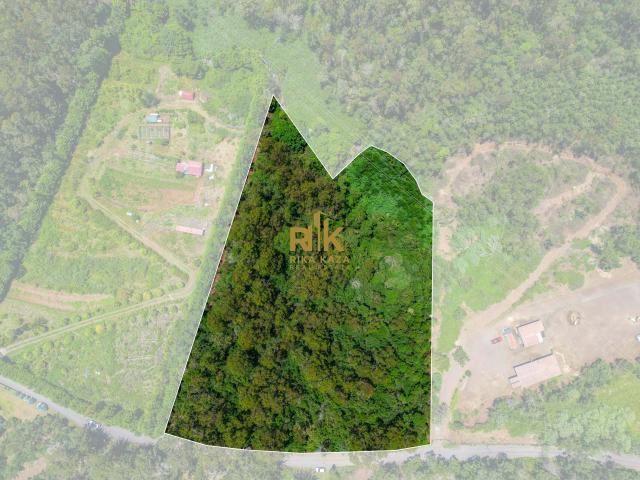 Terreno com 13.010m2