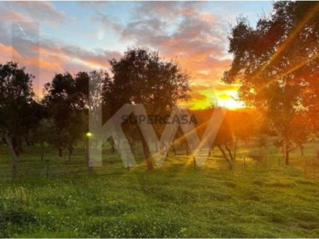 Terreno com 13 hectares em Santiago do Cacém