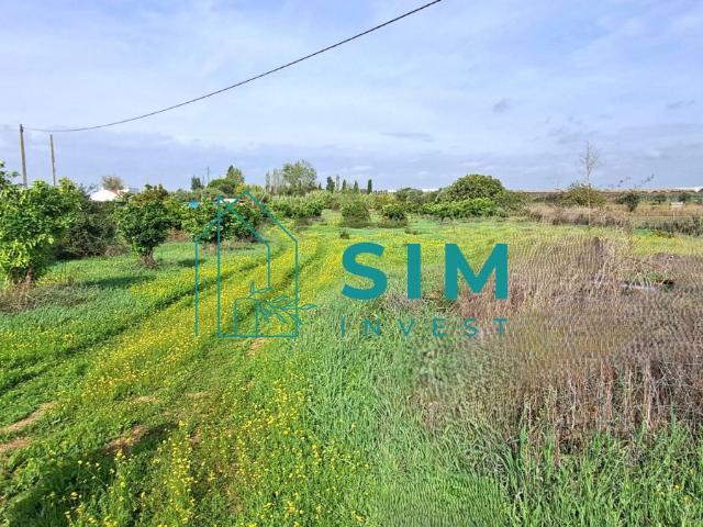 Terreno com 10175 m2 no Alentejo com água e luz