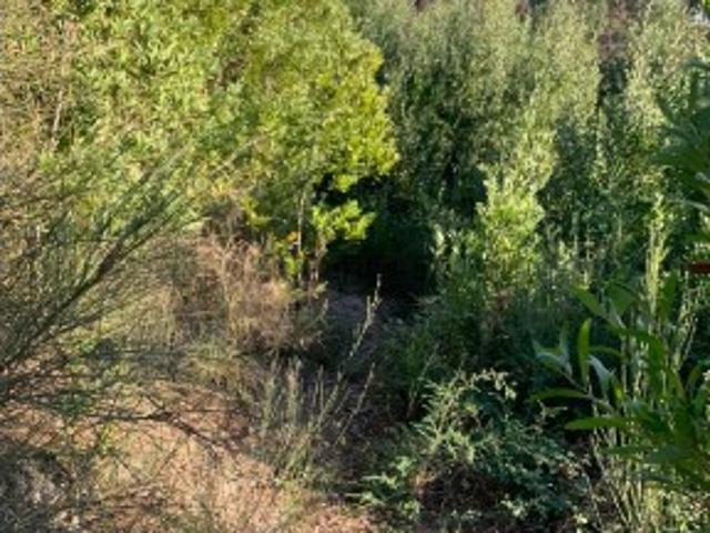 Terreno de construção com 10800m2 IRIVO Penafiel