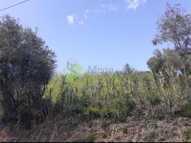 Terreno com 10.400 m² em Alenquer excelente oportunidade de investimento