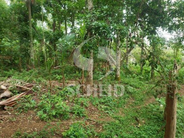 Terreno com 10.000m2, cercado
