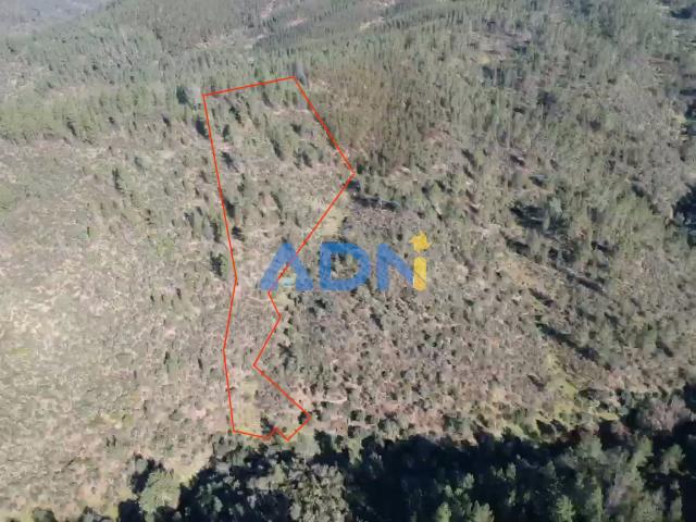 Terreno com 10.080m2 para venda
