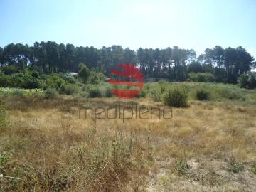 Terreno com 11000m2