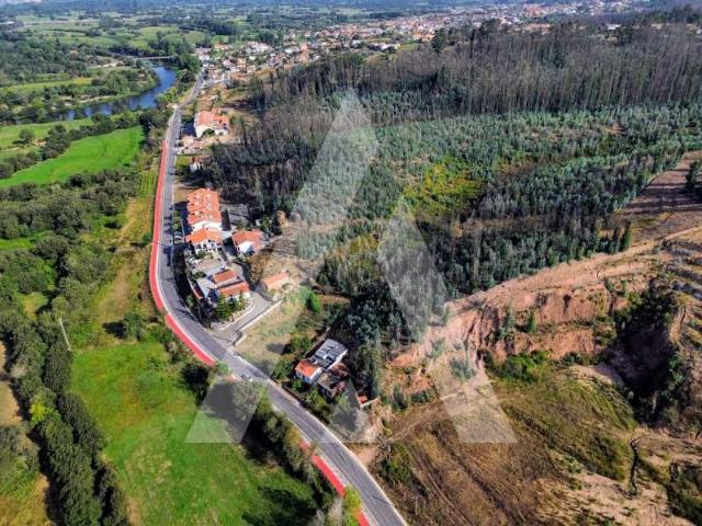 Terreno com 11.000 m² em Frossos Albergaria a Velha