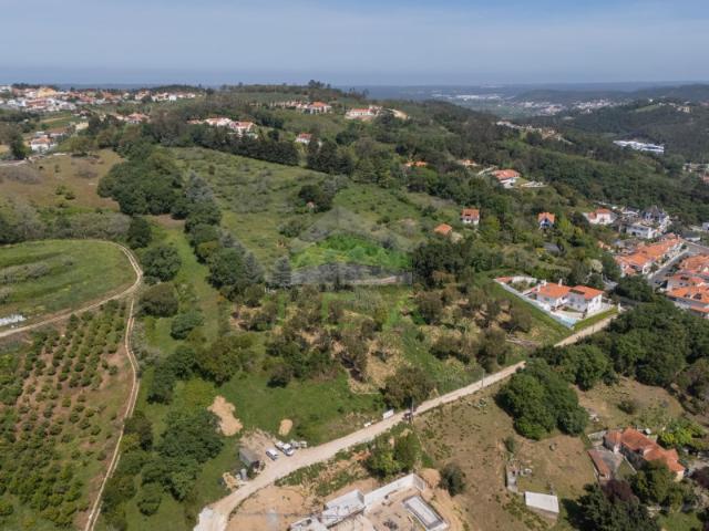 Terreno com 11.000m2 e excelentes vistas sobre Alcobaça