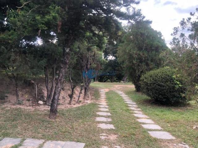 Terreno com 11.390 m2 ótima topografia