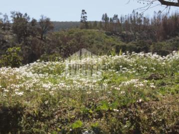 Saboia, Odemira, Distrito de Beja - Jardim