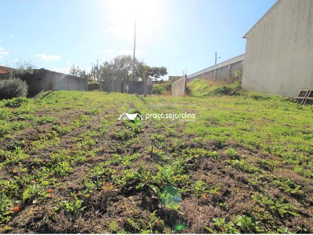 Terreno com 1200m2