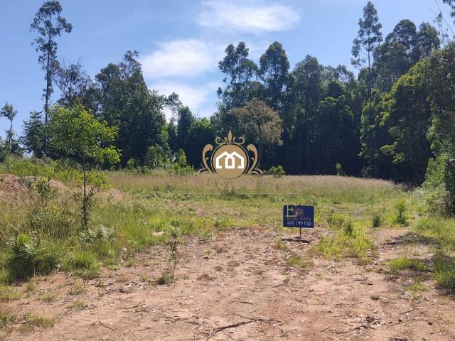 Terreno com 1200m2 em Santa Maria da Feira