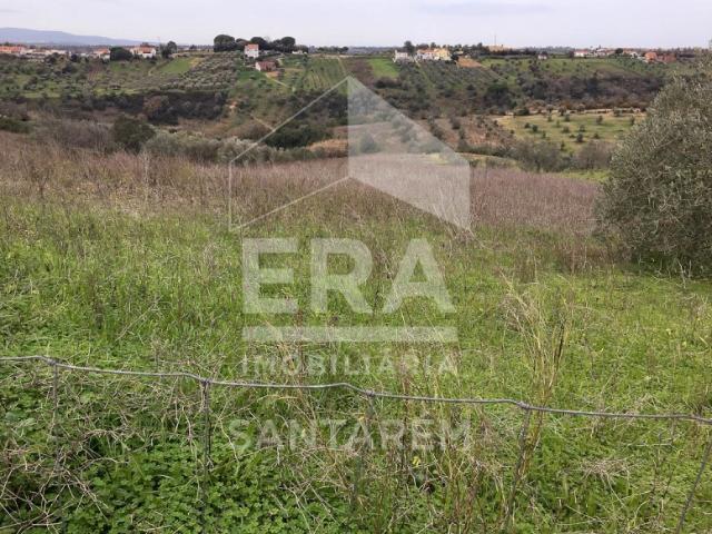 Terreno com 12280 m2
