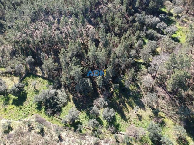 Terreno com 1220m2 para venda