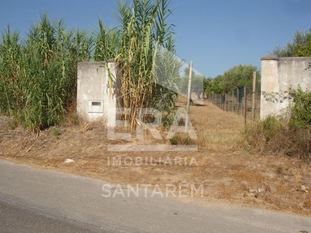 Terreno com 1235 m2 com Possibilidade de Construção Moradia