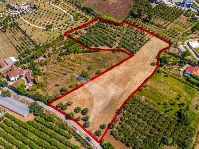 Terreno com 12.449 m² Rebolaria Batalha