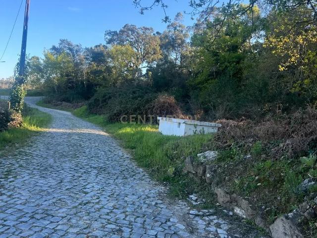 Terreno com 12.900 m² e Vistas Desafogadas na Tapada – Figueiró dos Vinhos