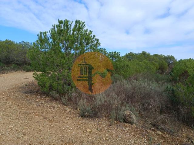 TERRENO COM 12.9 HECTARES POSSIBILIDADE DE CONSTRUÇÃO TURISMO MORADIA PALMEIRA ALCOUTIM ALGARVE