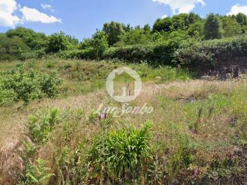 Terreno com 12.000m2 em Santo Tirso