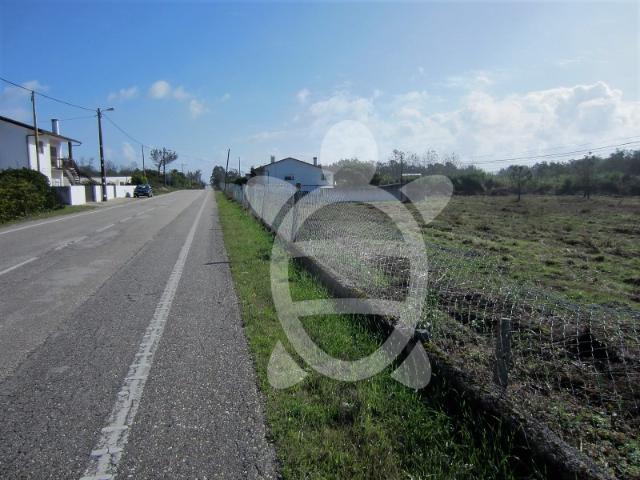 Terreno com 12.000m2 na Costa de Lavos