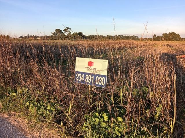 Terreno com 12 m de frente a poucos minutos do centro de Vagos