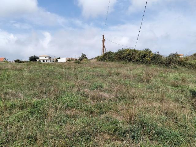 Terreno com 12m de frente Estarreja / Salreu