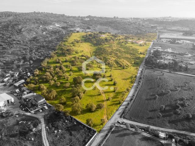 Terreno com 12ha, 2 casas urbanas e 10 casas rústicas | Évora