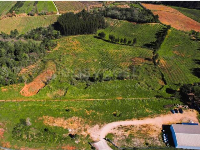 Terreno com 130000m2 destinado à agricultura no Alto da Maiorga