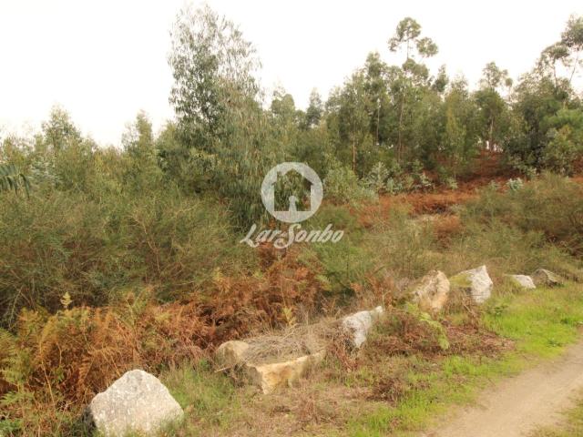 Terreno com 17.990m2 área S. Gens Fafe