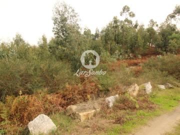 Terreno com 17.990m2 área S. Gens Fafe