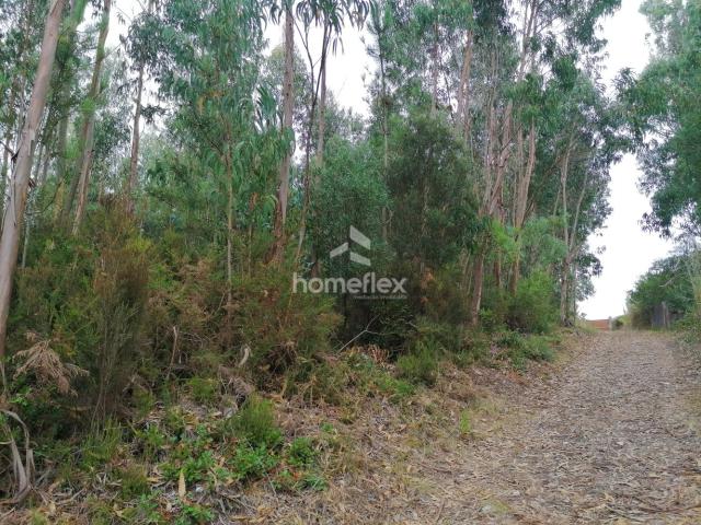 Terreno com 17 000 m2, a 5 minutos do centro da cidade!