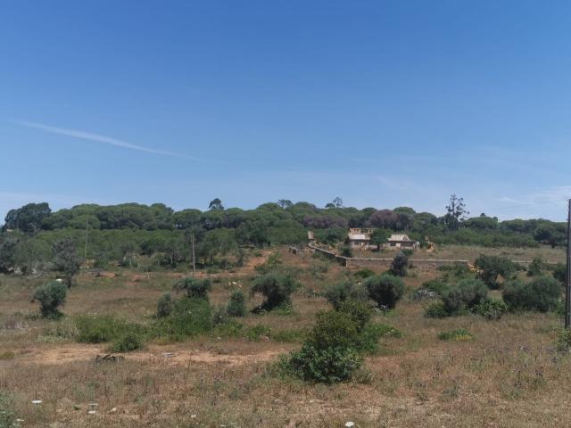 Terreno com 17 Hec. Com ruinas
