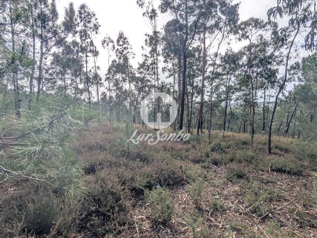 Terreno com 14.516m2 em Laúndos, Póvoa de Varzim