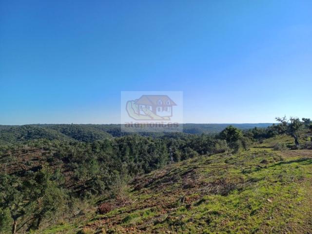 Terreno com 14,5ha para Turismo a 10 km de Melides!