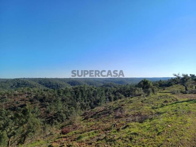 Terreno com 14,5ha para Turismo a 10 km de Melides!