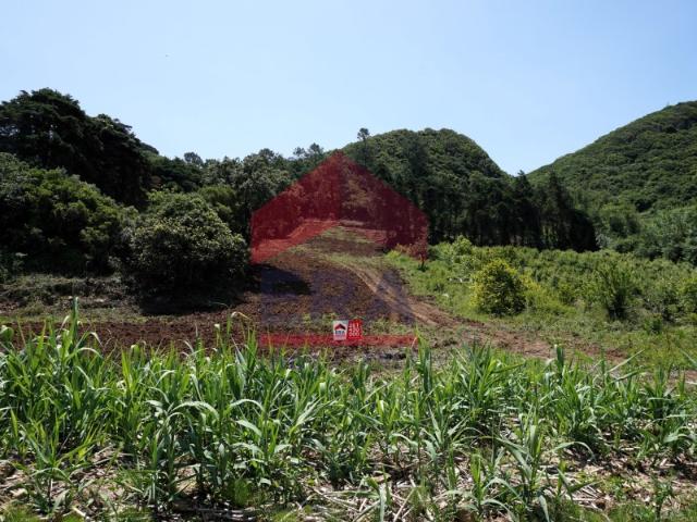 Terreno com 14.640m2